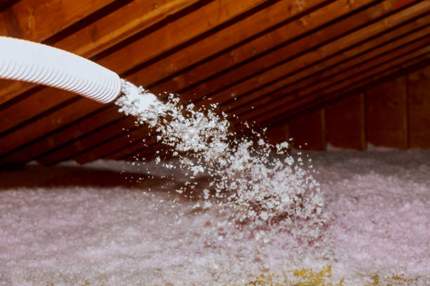 Garage Insulation Installation in Toast, NC