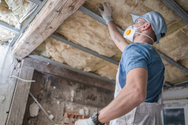 Attic Insulation Near Me in Toast, NC