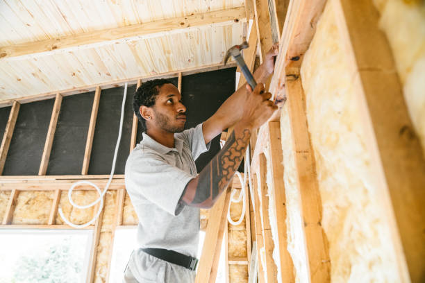 Best Attic Insulation Installation  in Toast, NC