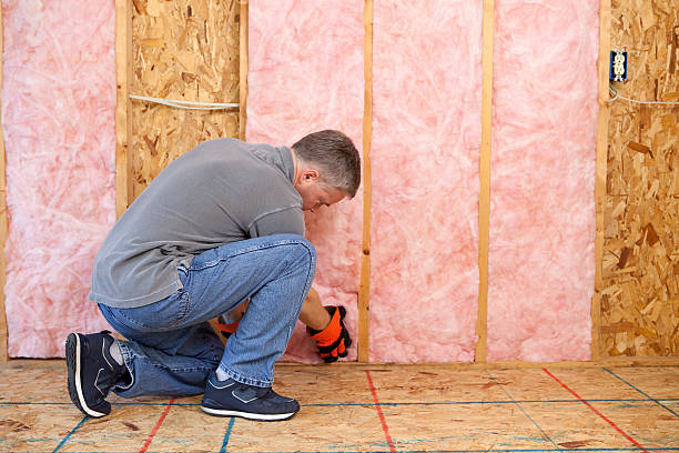 Best Attic Insulation Installation  in Toast, NC