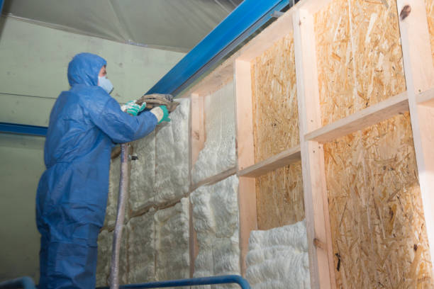 Best Blown-in Insulation  in Toast, NC