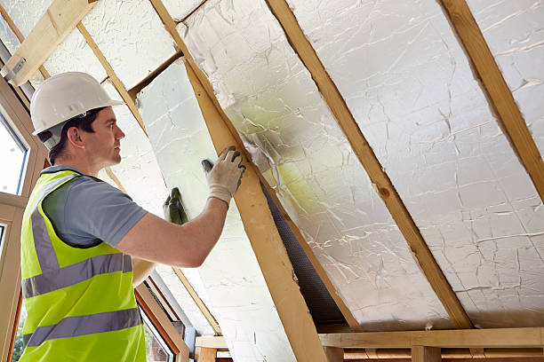 Best Insulation Removal  in Toast, NC