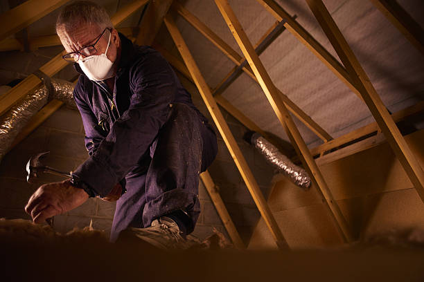 Best Insulation Contractor Near Me  in Toast, NC