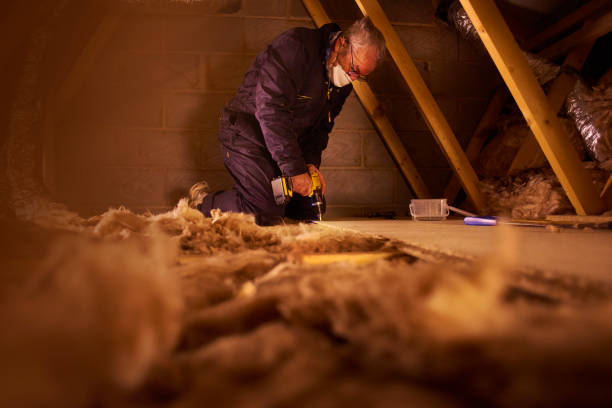 Best Residential Insulation Services  in Toast, NC