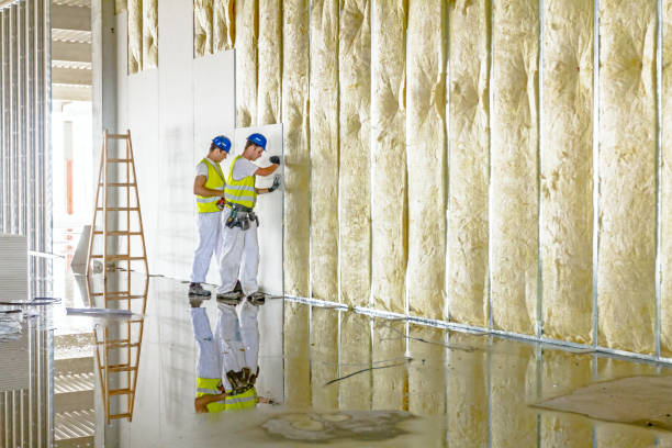 Best Insulation Repair Services  in Toast, NC